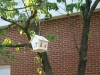 fields_chapel_vbs_2011_174